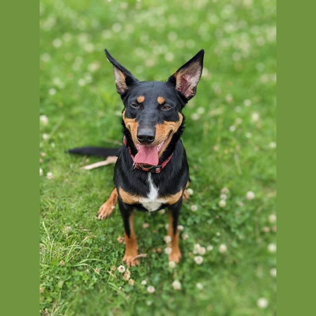 Photo of 🐞 Luna C04673 🐞