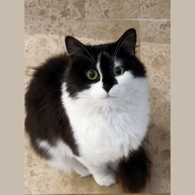 Photo of Kyle Sta011628