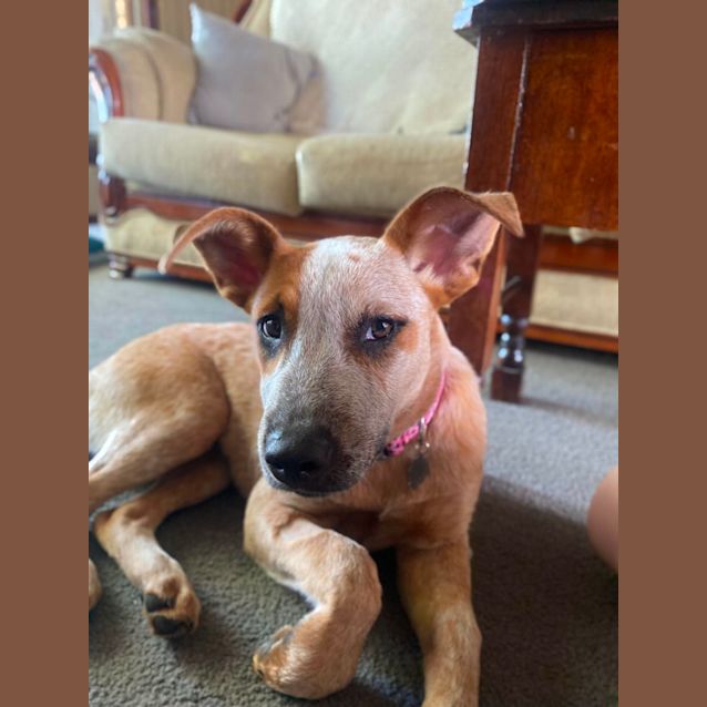Photo of Jenny