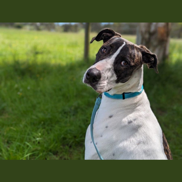Photo of May Applegate