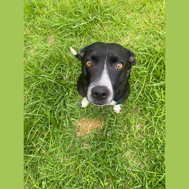 Photo of Abby