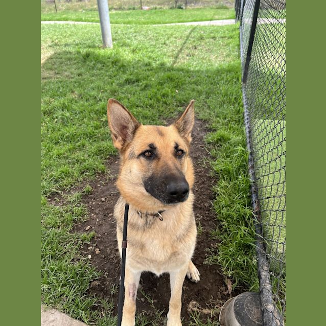 Photo of Storm