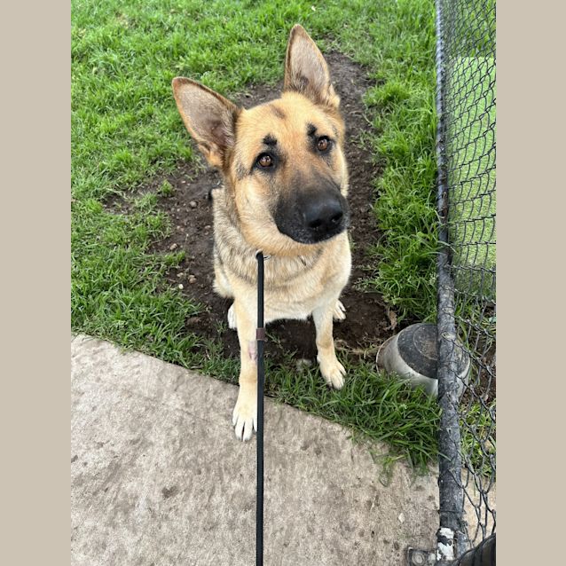 Photo of Storm