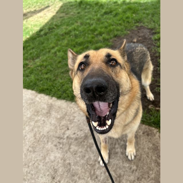 Photo of Storm