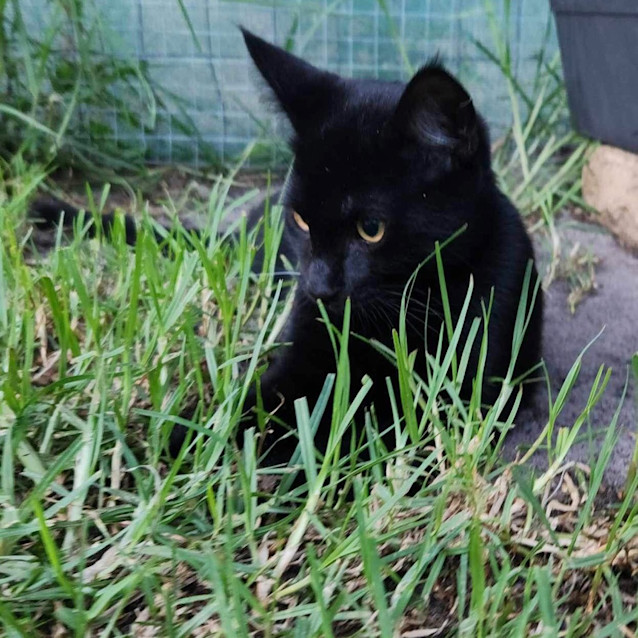 Photo of Diggie