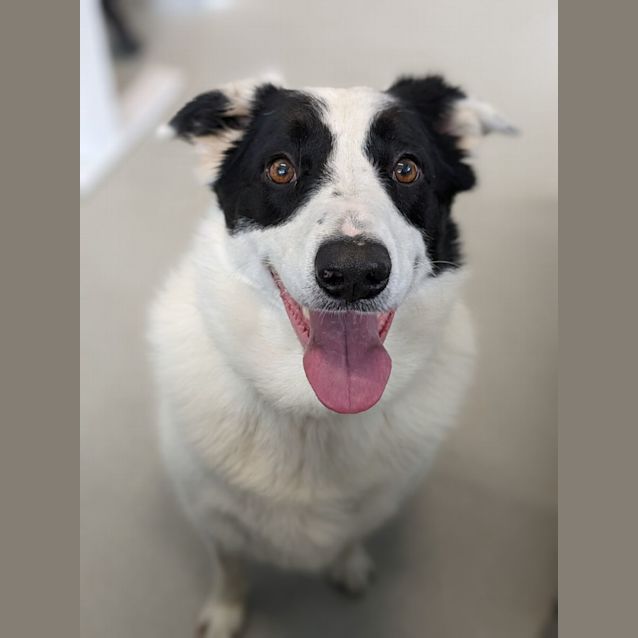 Photo of 🍨 Jellybean C04719 🍨