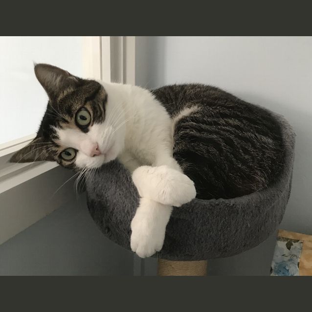 Photo of Leia