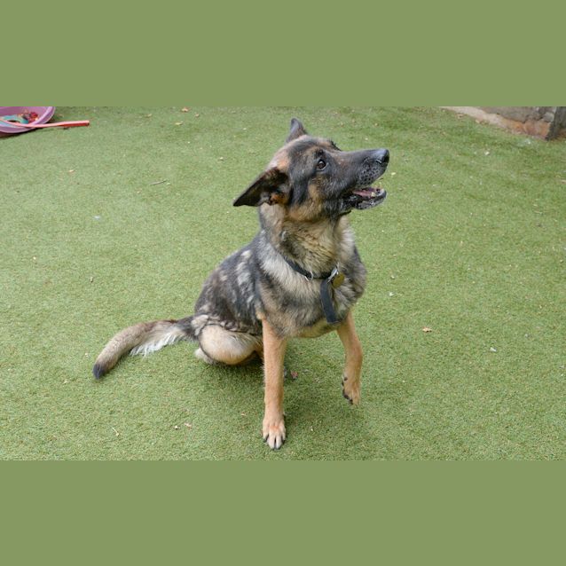 Photo of Tex