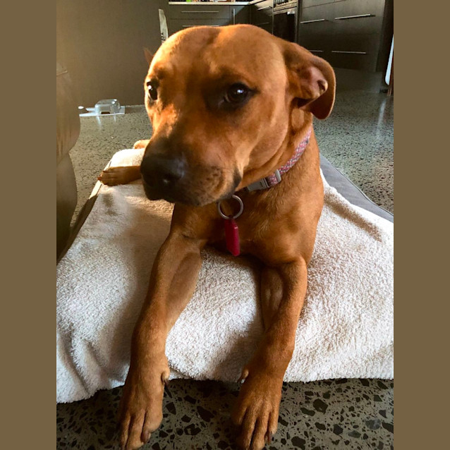 Photo of Maggie