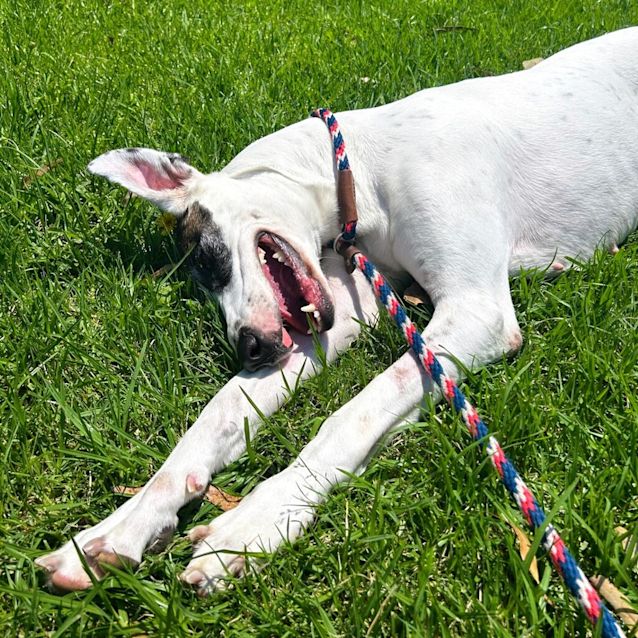 Photo of Macy