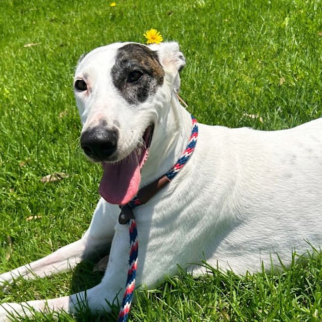 Photo of Macy