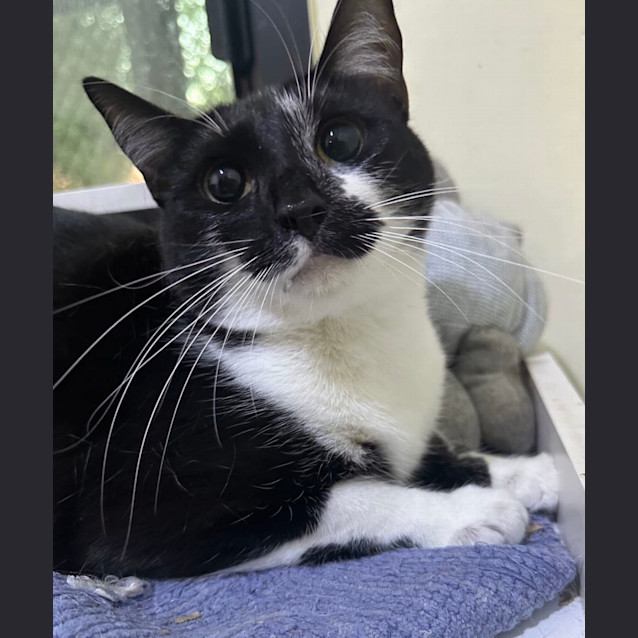 Photo of Miss Mellie