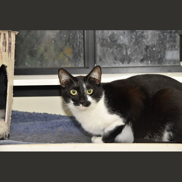 Photo of Miss Mellie