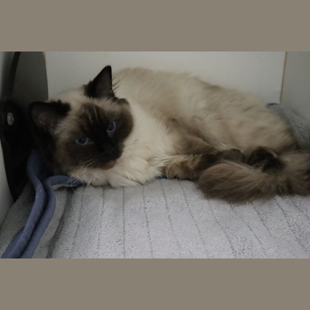 Photo of Mae