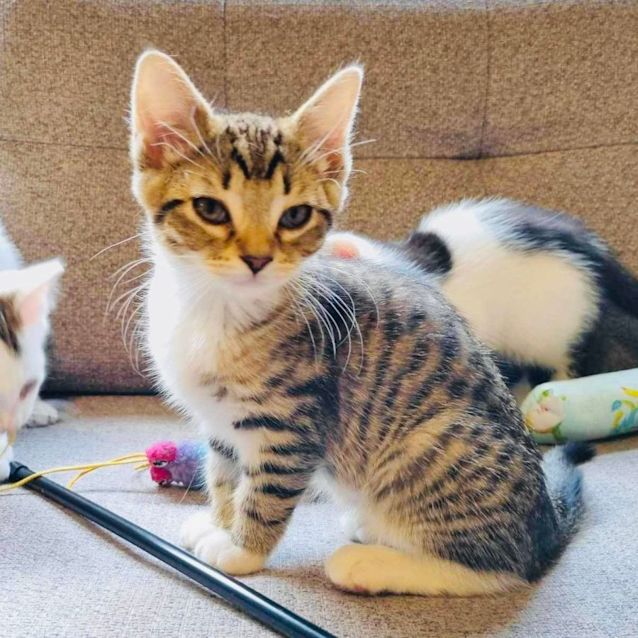 Photo of Ethel   Located In Preston