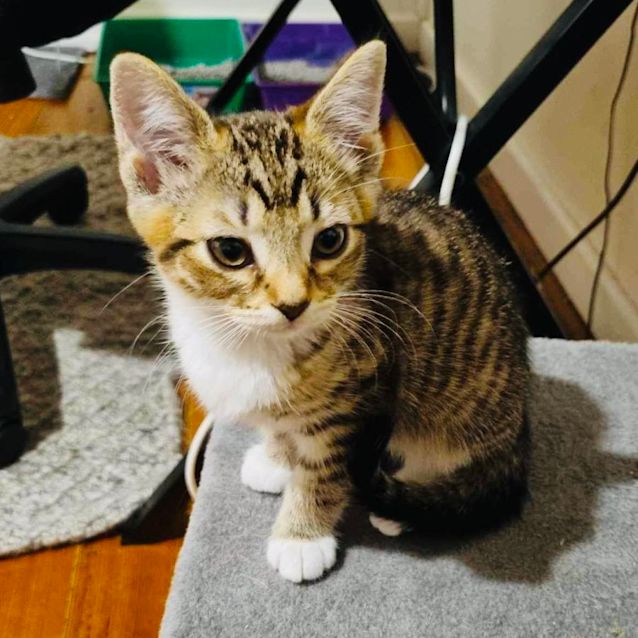 Photo of Ethel   Located In Preston