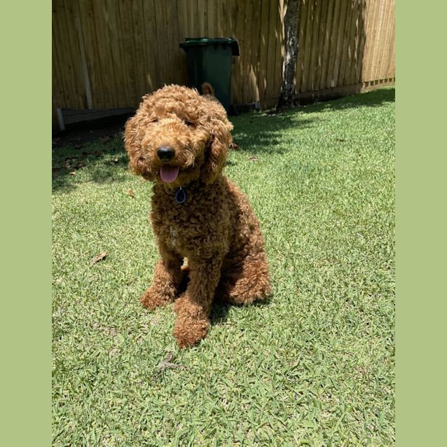 Photo of Claude