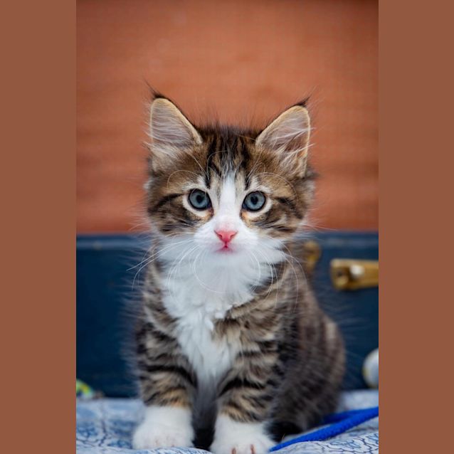 Photo of Avery