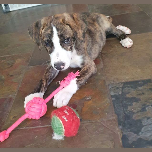 Photo of Pyjamas (Pj)