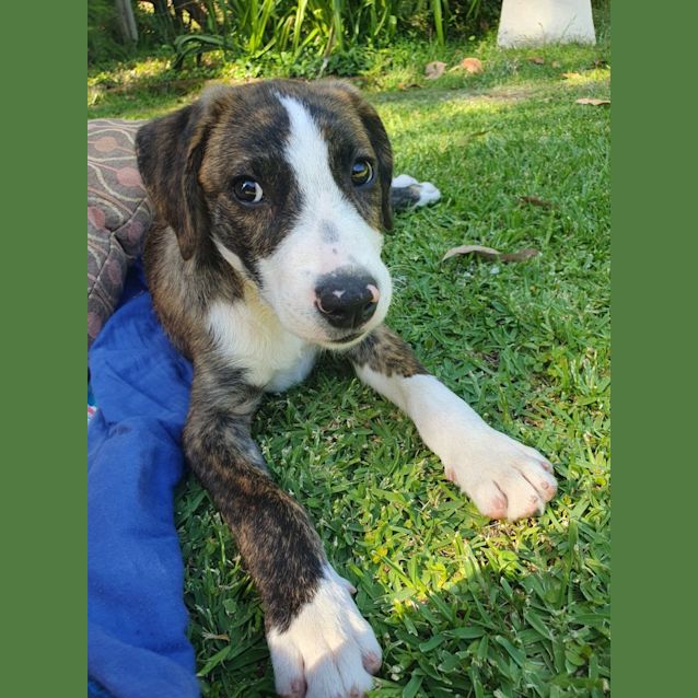 Photo of Pyjamas (Pj)