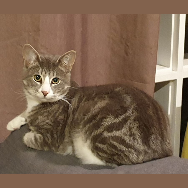 Photo of Joe Jenkins