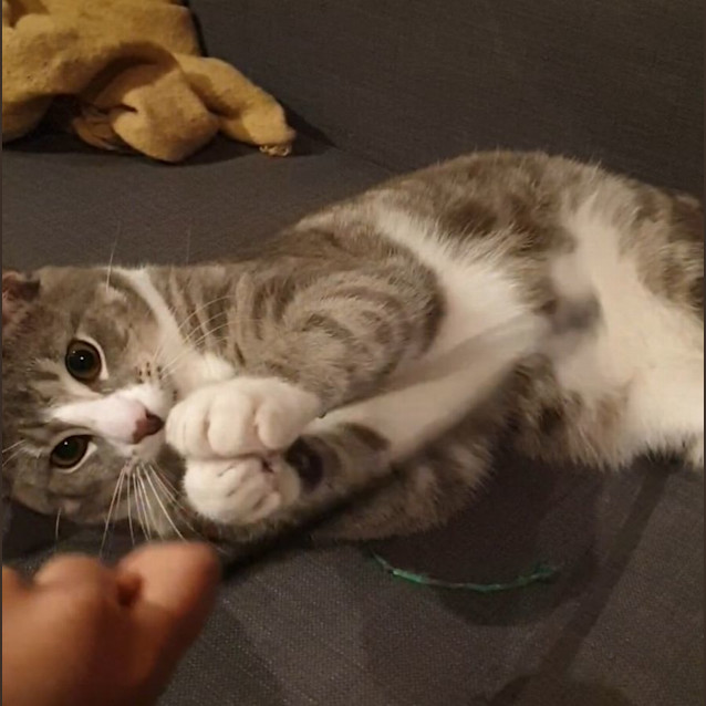 Photo of Joe Jenkins