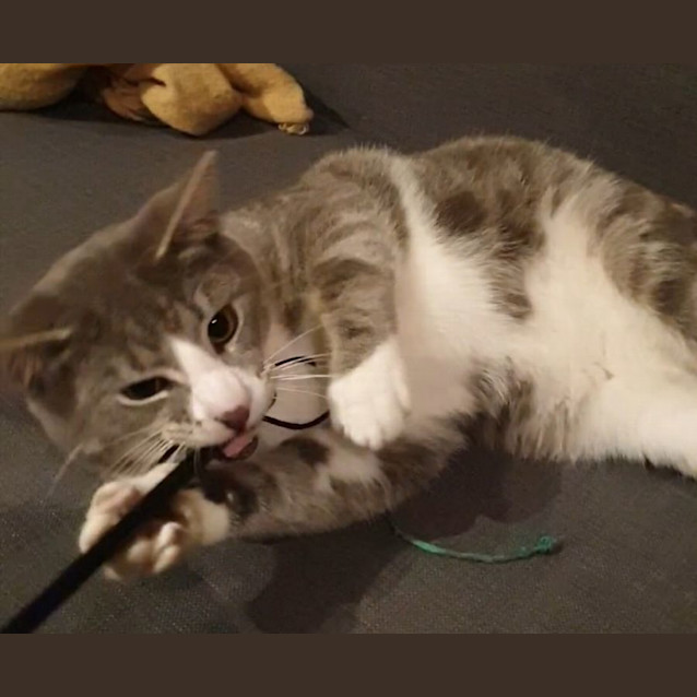 Photo of Joe Jenkins