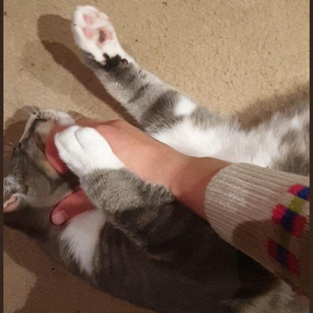 Photo of Joe Jenkins