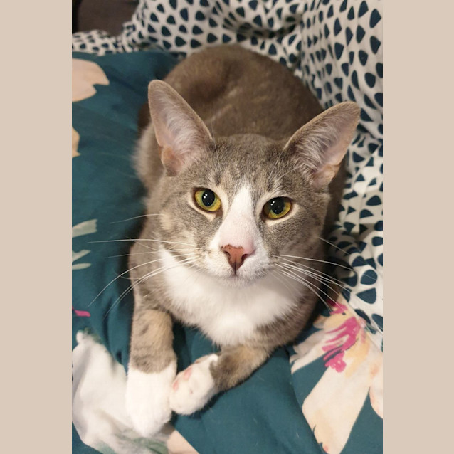 Photo of Joe Jenkins