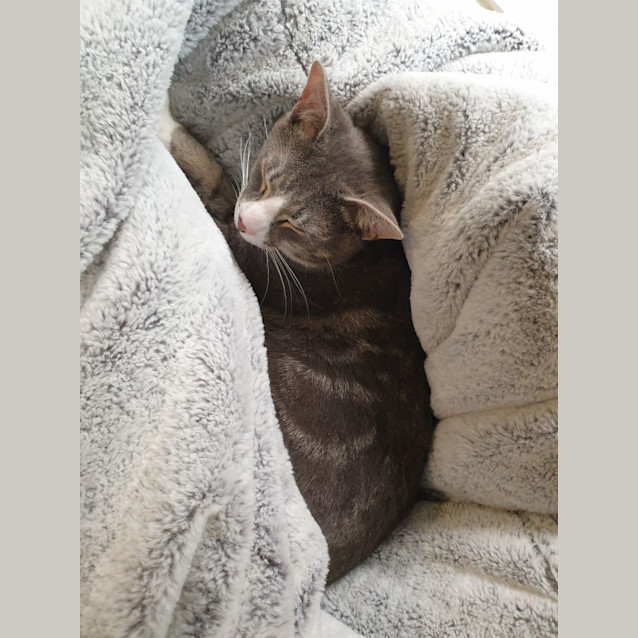 Photo of Joe Jenkins