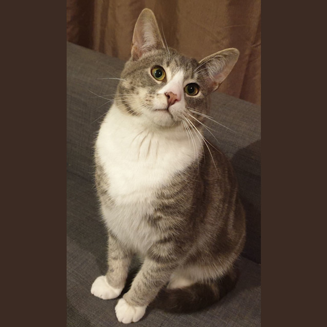 Photo of Joe Jenkins