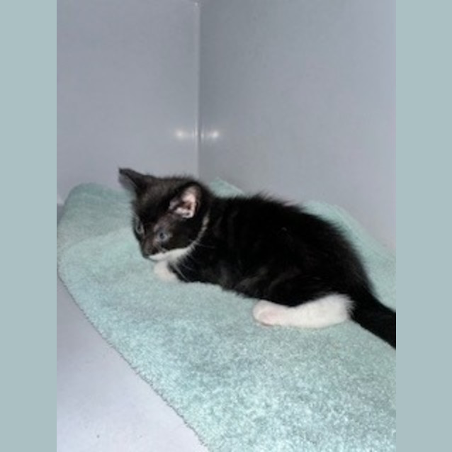 Photo of Tess