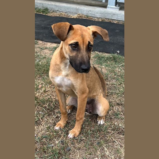 Photo of Evie (9849)