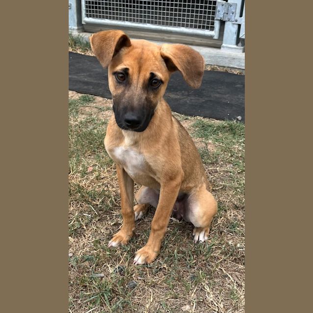 Photo of Evie (9849)