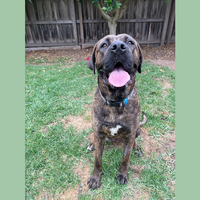 Photo of Daisy