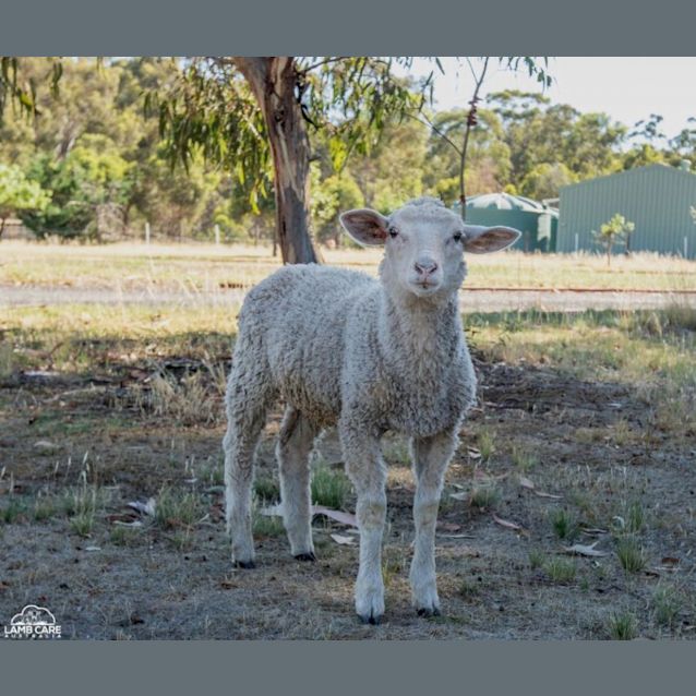 Photo of Lolly, Pop And Beatrix
