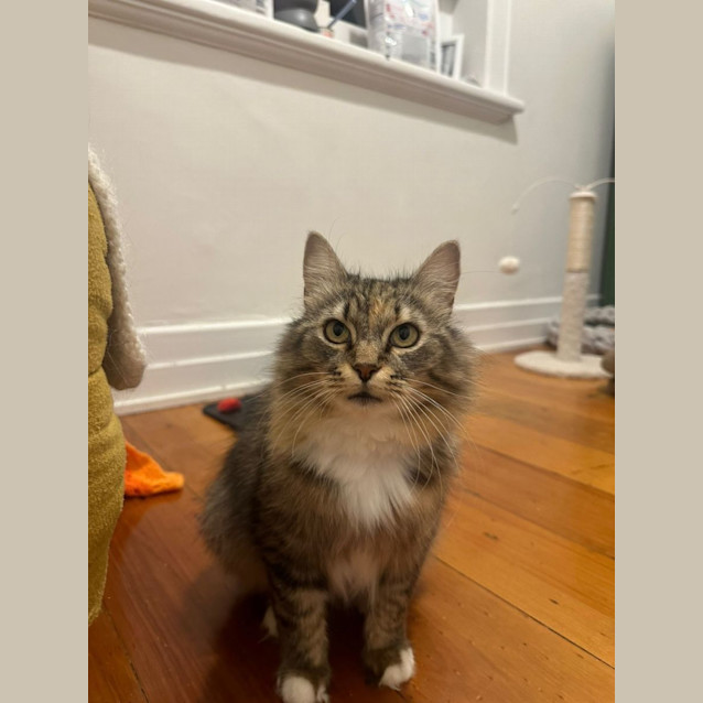 Photo of Angel
