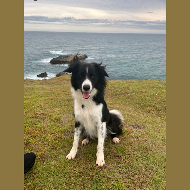 Photo of Walter 