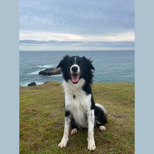 Photo of Walter 