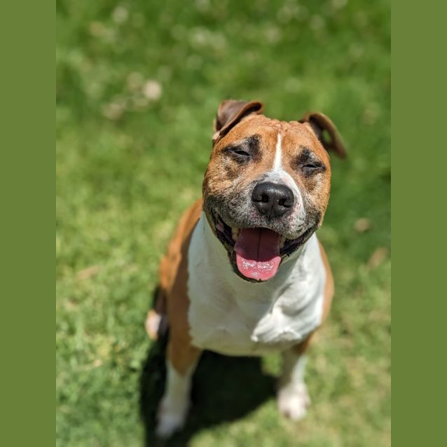 Photo of ⚡ Oden C04694 ⚡