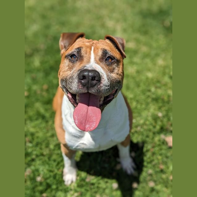 Photo of ⚡ Oden C04694 ⚡