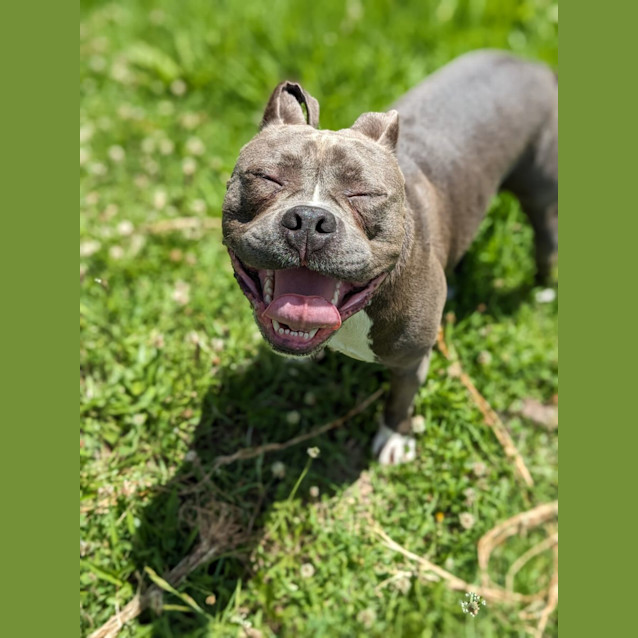 Photo of 🔥 Obi C04767 🔥