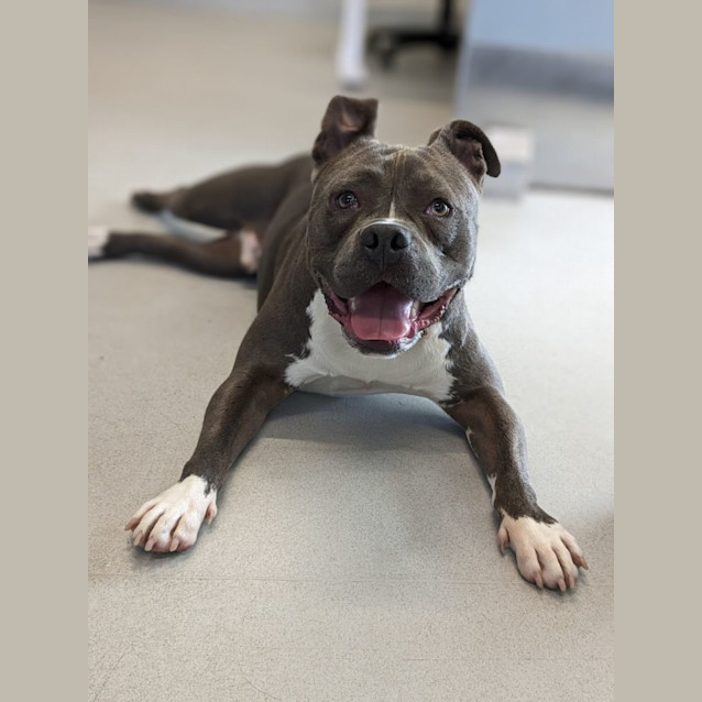 Photo of 🔥 Obi C04767 🔥