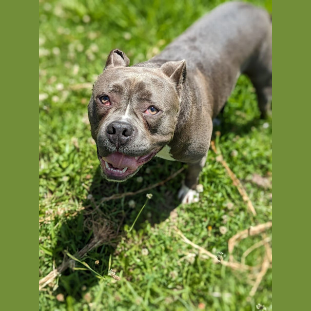 Photo of 🔥 Obi C04767 🔥