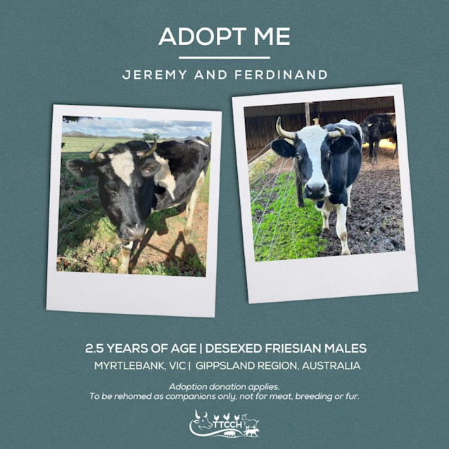 Photo of Jeremy & Ferdinand