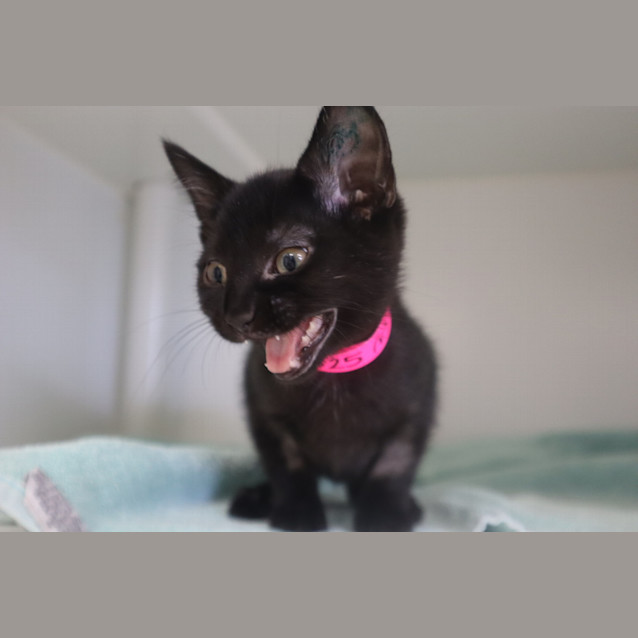 Photo of Ebonee