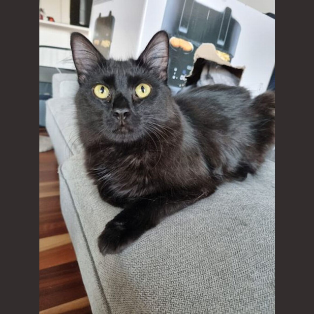 Photo of Ellie