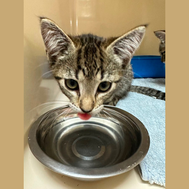 Photo of Britney, Christina & Madonna