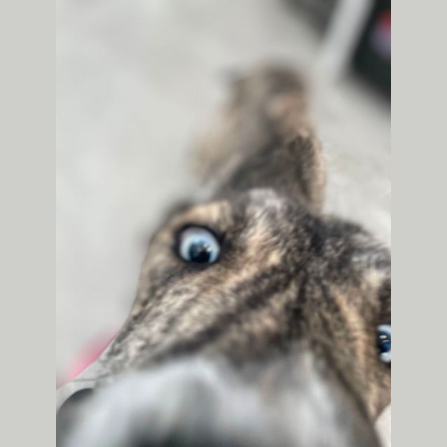 Photo of Max