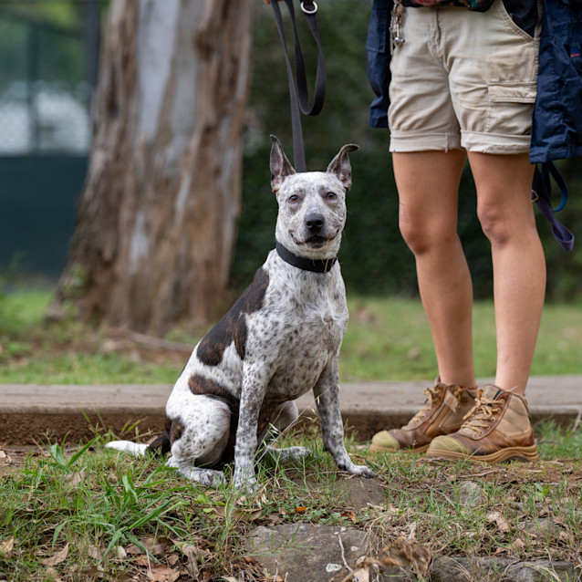 Photo of Sarah Rose Lucky